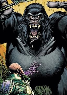 Gorilla Grodd