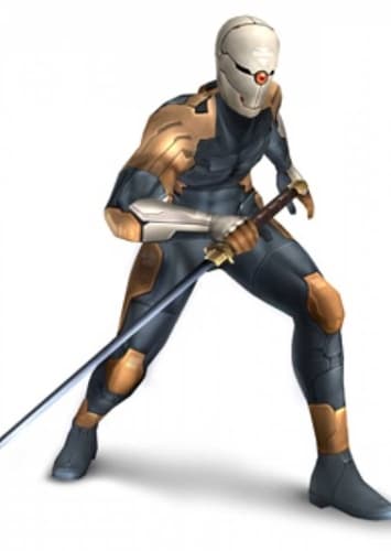 Gray Fox