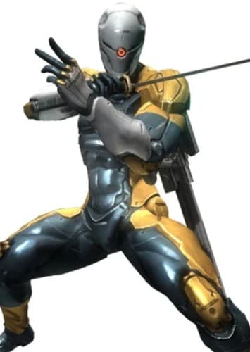 Gray Fox