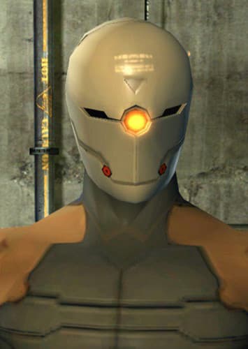 Gray Fox