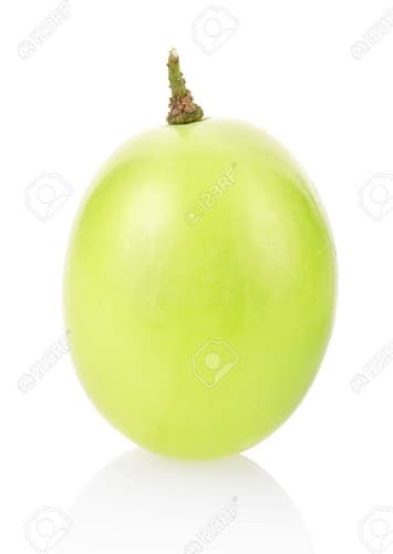 Green Grape