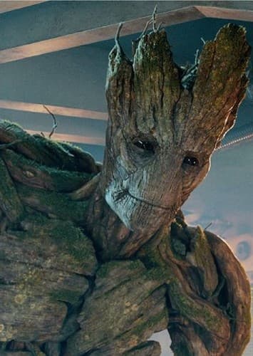 Groot