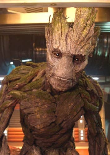 Groot