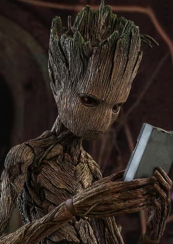 Groot