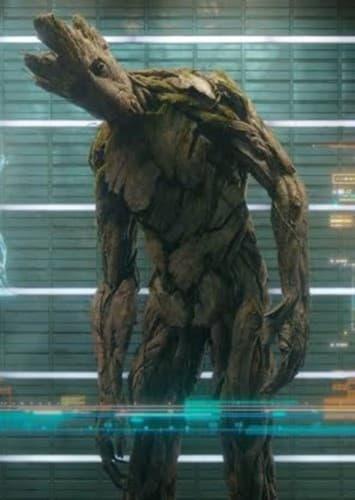 Groot