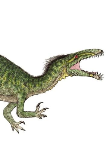 Halticosaurus