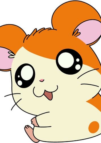 Hamtaro