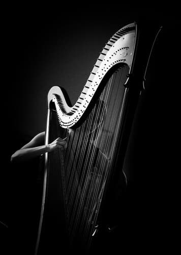 Harp
