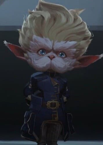 Heimerdinger