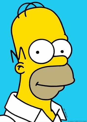Homer Simpson