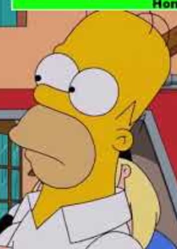 Homer Simpson
