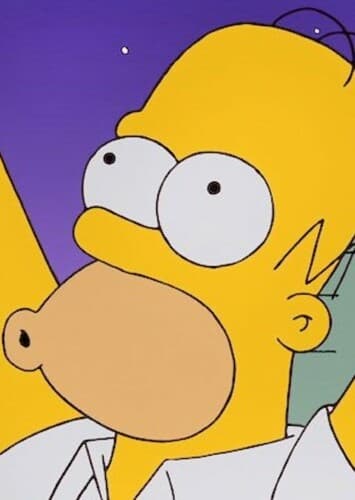 Homer Simpson