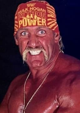 Hulk Hogan