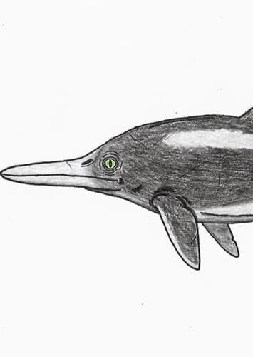 Ichthyosaurus