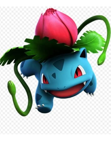 Ivysaur/Bulbasaur
