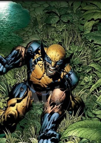 James "Logan" Howlett