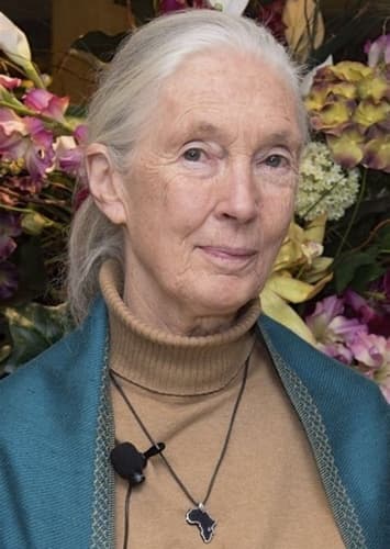 Jane Goodall