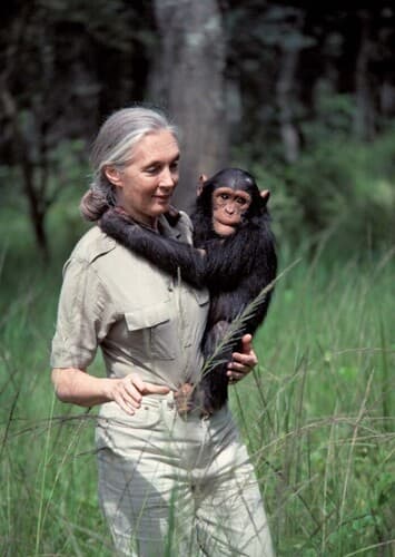 Jane Goodall