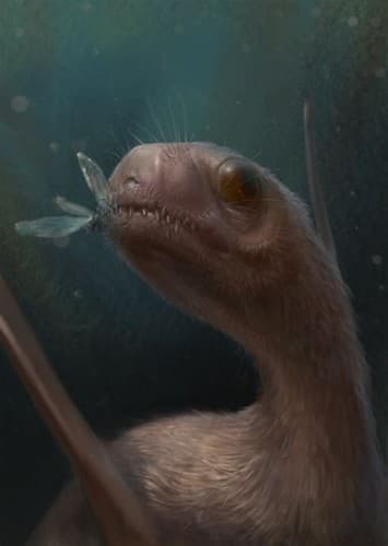 Jeholopterus