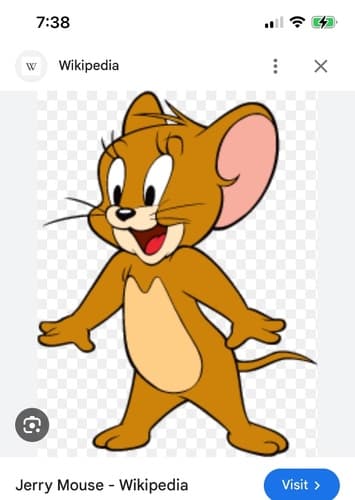 Jerry mouse