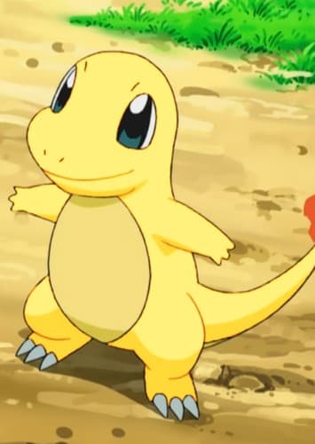 Bowser's/Junior's Charmander
