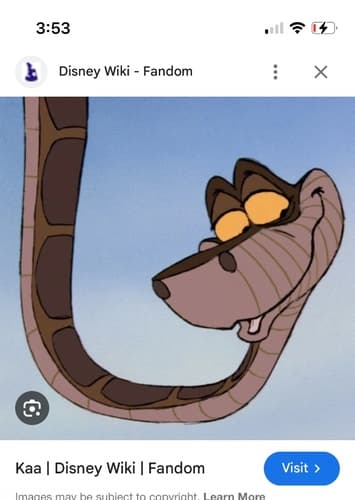 Kaa