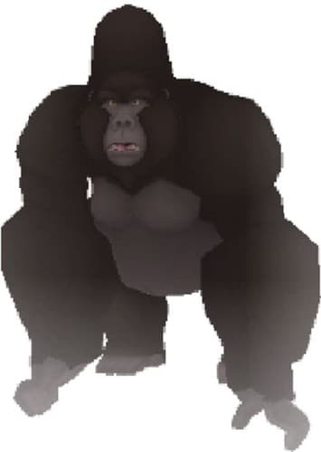 Kerchak