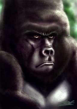 Kerchak