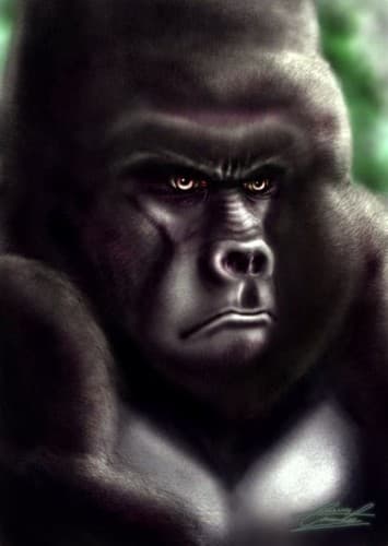 Kerchak