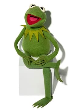 Kermit The Frog