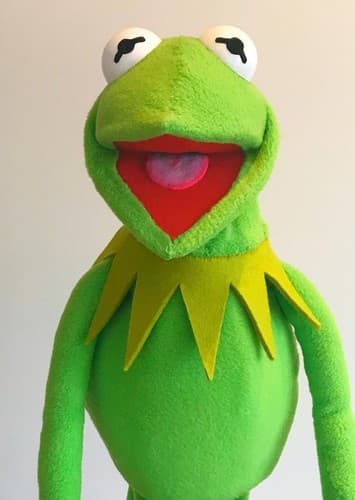 Kermit The Frog