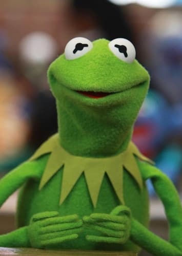 Kermit The Frog