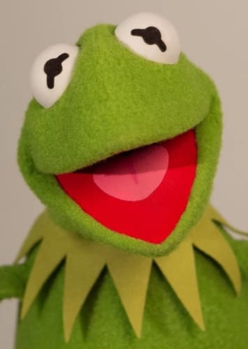 Kermit The Frog