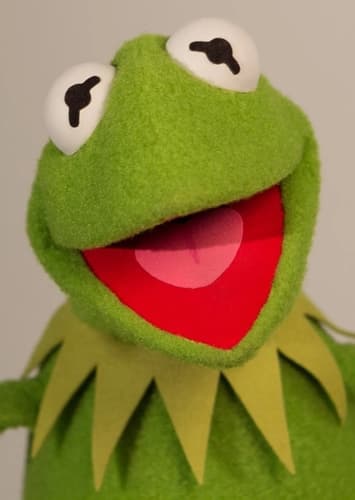 Kermit The Frog