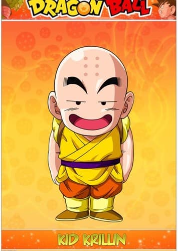 Kid Krillin