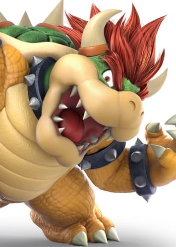 King Bowser Koopa