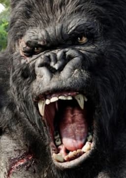 King Kong