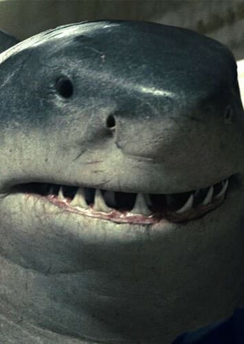 King Shark