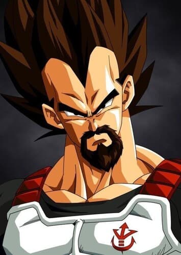 King Vegeta