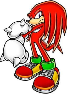 Knuckles the echidna