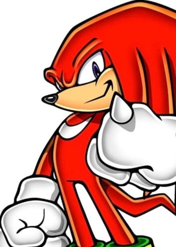 Knuckles the Echidna