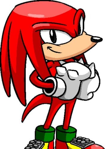 Knuckles The Echidna