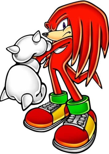 Knuckles the Echidna