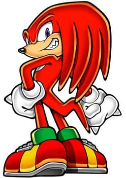 Knuckles The Echidna