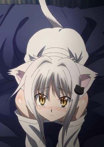 Koneko