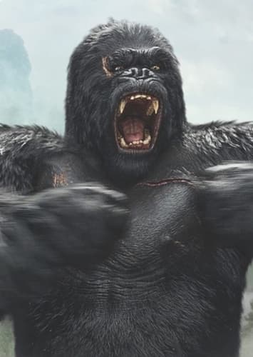 Kong