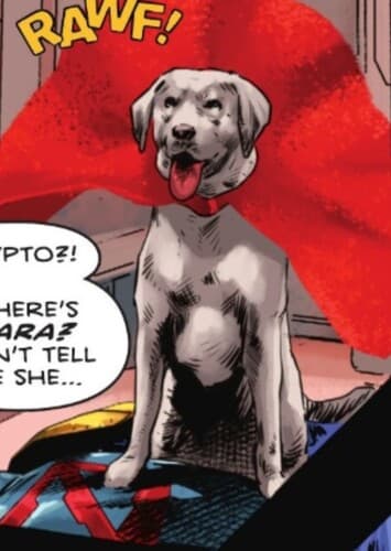 Krypto