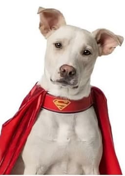 Krypto