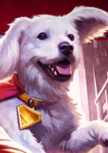 Krypto