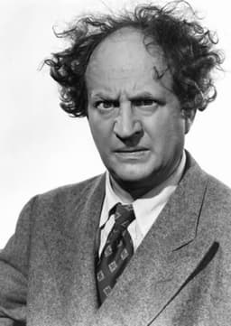 Larry Fine